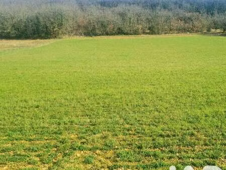 vente terrain piscine à jayac (24590) : à vendre piscine / 9718m² jayac