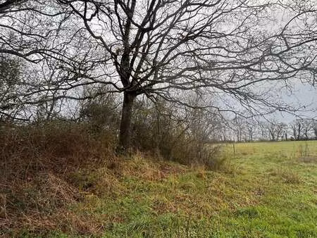 vente bois  forêt et étang à gorges (44190) : à vendre / gorges