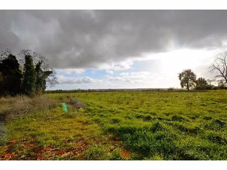 vente terrain 6814 m² allemans-du-dropt (47800)