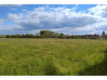 terrain de 12032 m2 - osmery  france