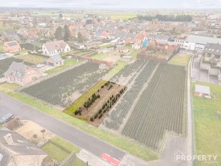 terrain à vendre à zwevezele € 180.000 (lize8) - property real estate | zimmo