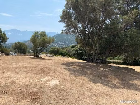 beau terrain - calvi