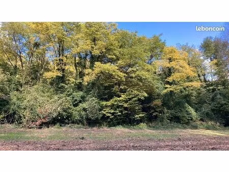 parcelle de bois