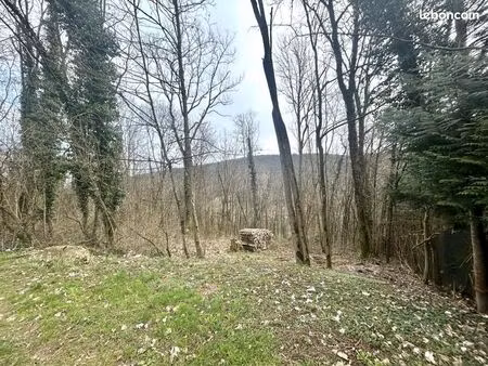 terrain 3000 m² chalezeule