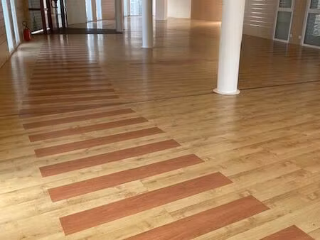 a louer local 233 m2