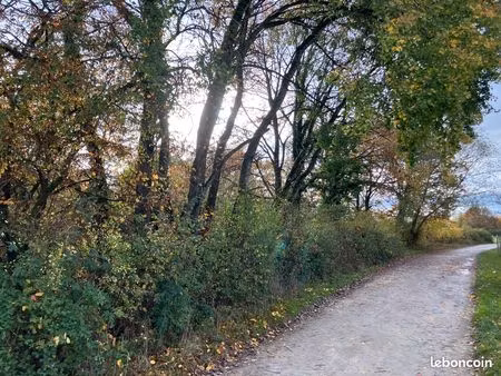 terrain secteur bois marteau