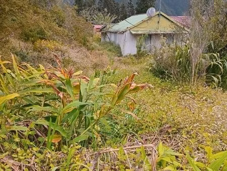 terrain plaine des palmistes