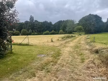 terrain constructible