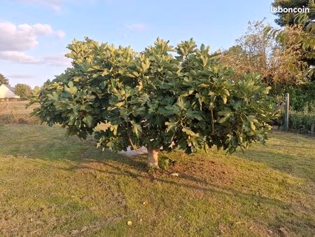 cherche terrain non constructible