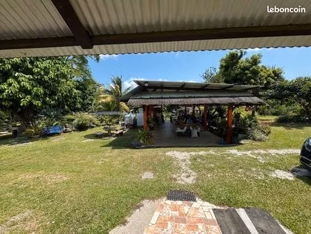 a vendre maison + terrain 1 hectar