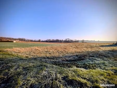 terrain 1000 m² sermaize