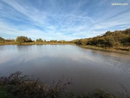 etang sur terrain de 1 5 ha aux portes de moulins