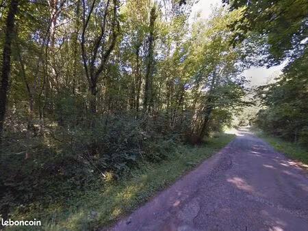 beau terrain de loisirs boisé