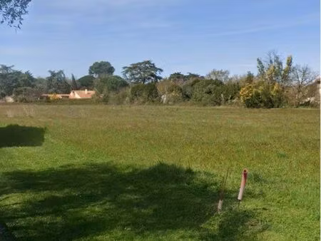 terrain constructible