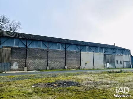 local 3000 m² beaucouzé