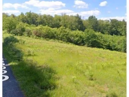 terrain constructible