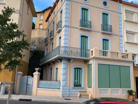 cerbère dans immeuble 1900 reste 4 t2