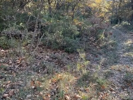 terrain forestier nans les pins