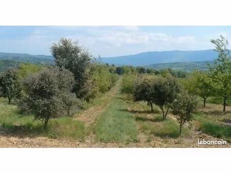 recherche terrain trufficulture