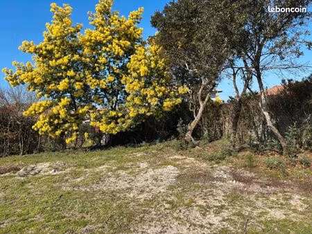 terrain 345 m² ares