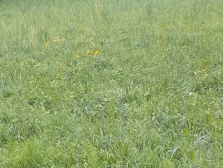 rare terrain constructible bourg d'oisans