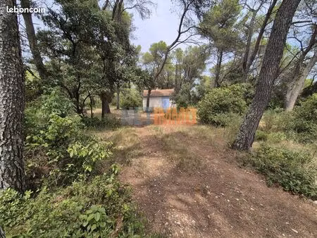 terrain 1 pièce 936 m²