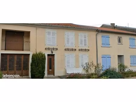 maison de 260m2 habitables  proche de dieuze  avec garage  jardin  dépendances  cave et gr