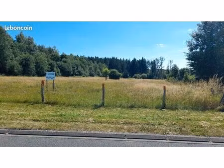 terrain constructible