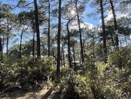 terrain 1 400 m² lacanau