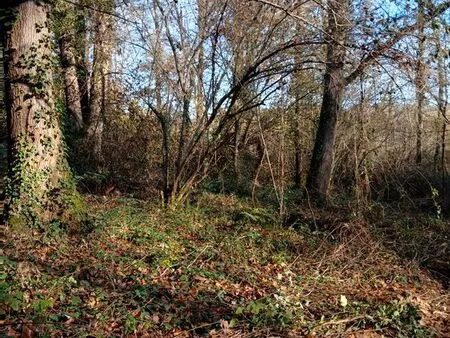 parcelles boisées sur 1 7 hectares a anoye