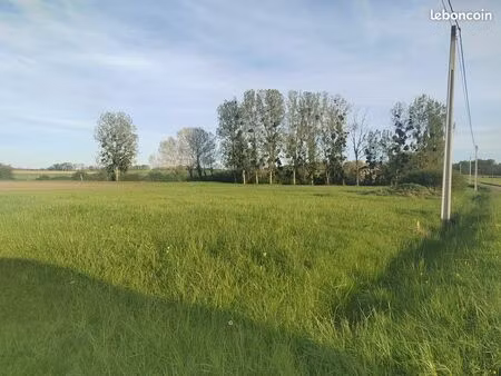 terrain constructible