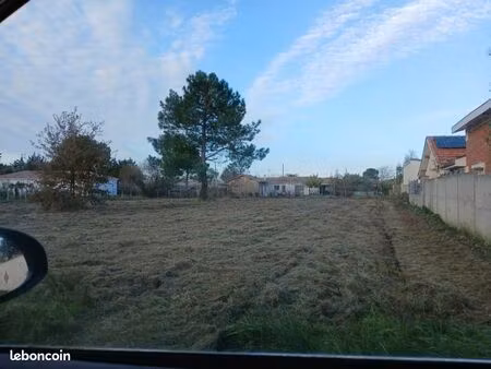 terrain constructible