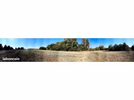 cherche terrain forestier ou agricole à céder 4000 /ha