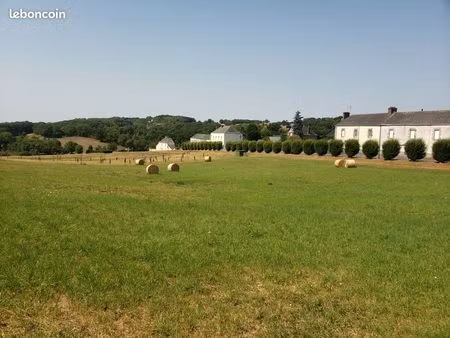 terrain constructible