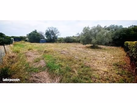terrain constructible cloturé laurens 34 hérault proche bois