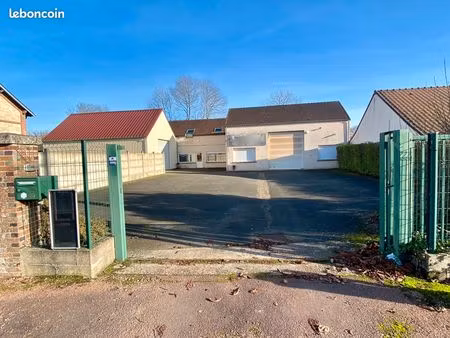 local professionnel 600 m2