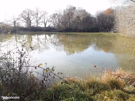 terrain 5640 m² st romain sur cher