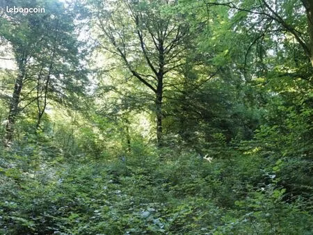 terrain de loisirs à vendre – combs-la-ville (77380)