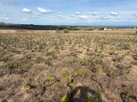 vignes en cru du beaujolais  chénas clos de 90 ares 50