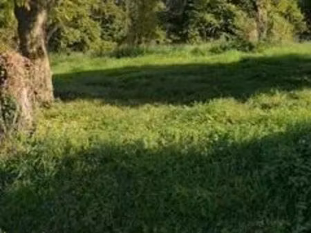 terrain constructible de 1700 m2