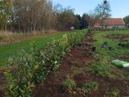 terrain constructible arboré