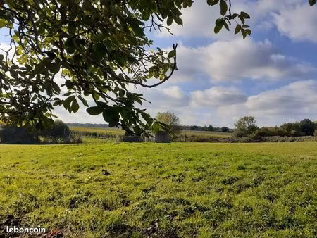 vente immobilière terrain