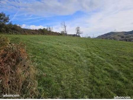 terrain constructible