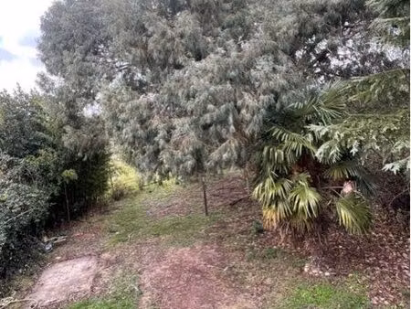 vente terrain montech