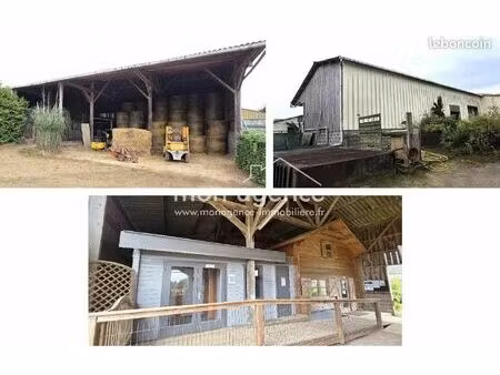 local 1000 m² franqueville-saint-pierre