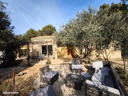 maison plain pied grand terrain arboré piscine  calme absolu