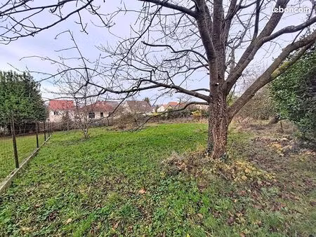 terrain 4 pièces 1200 m²