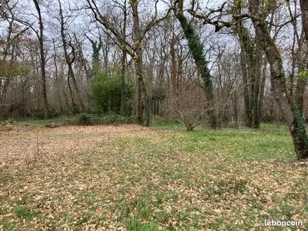 terrain à bâtir calme et verdoyant avec bois attenant