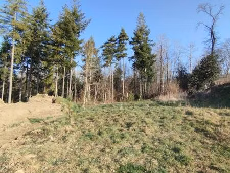 terrain constructible à vendre