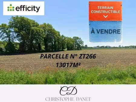 terrain constructible à vendre